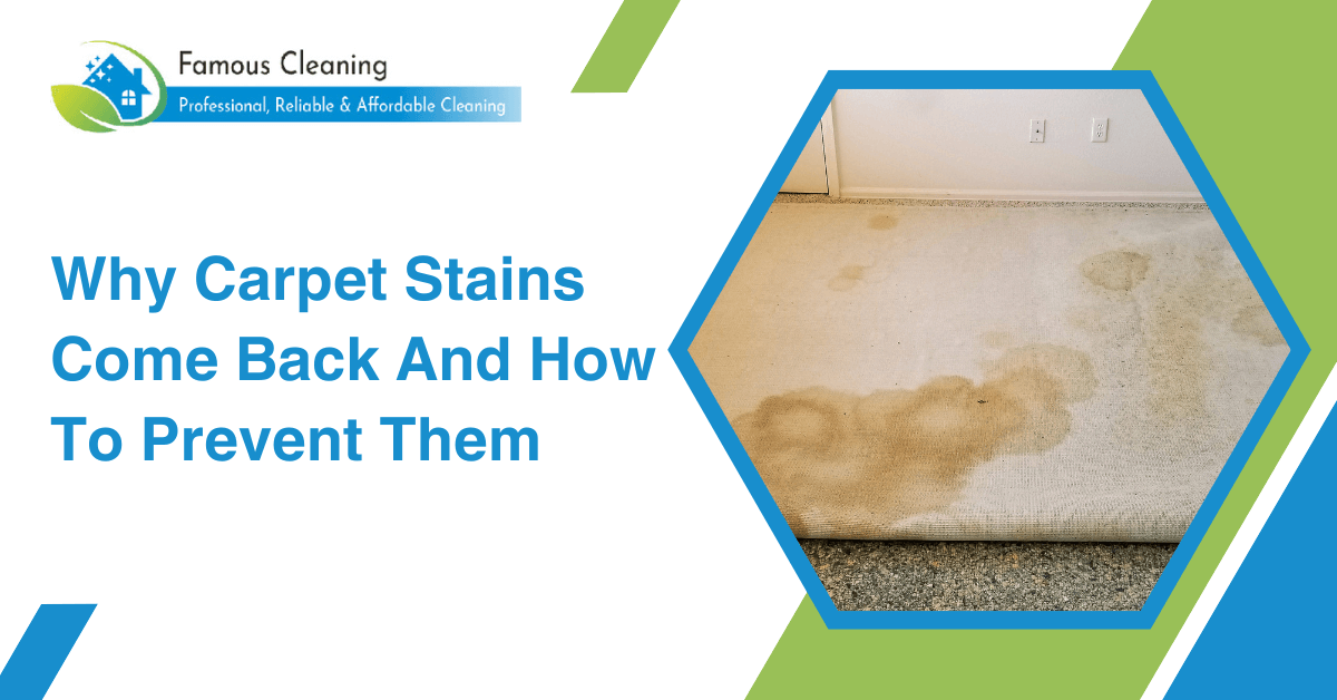 Why Carpet Stains Come Back And How To Prevent Them