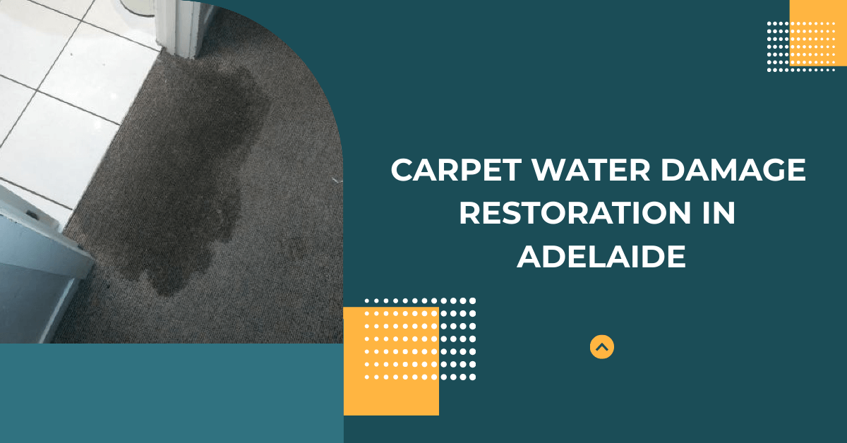 Carpet Water Damage Restoration in Adelaide