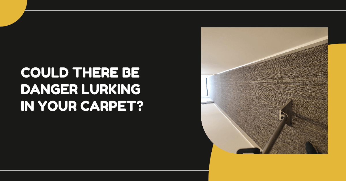 Could There Be Danger Lurking In Your Carpet?