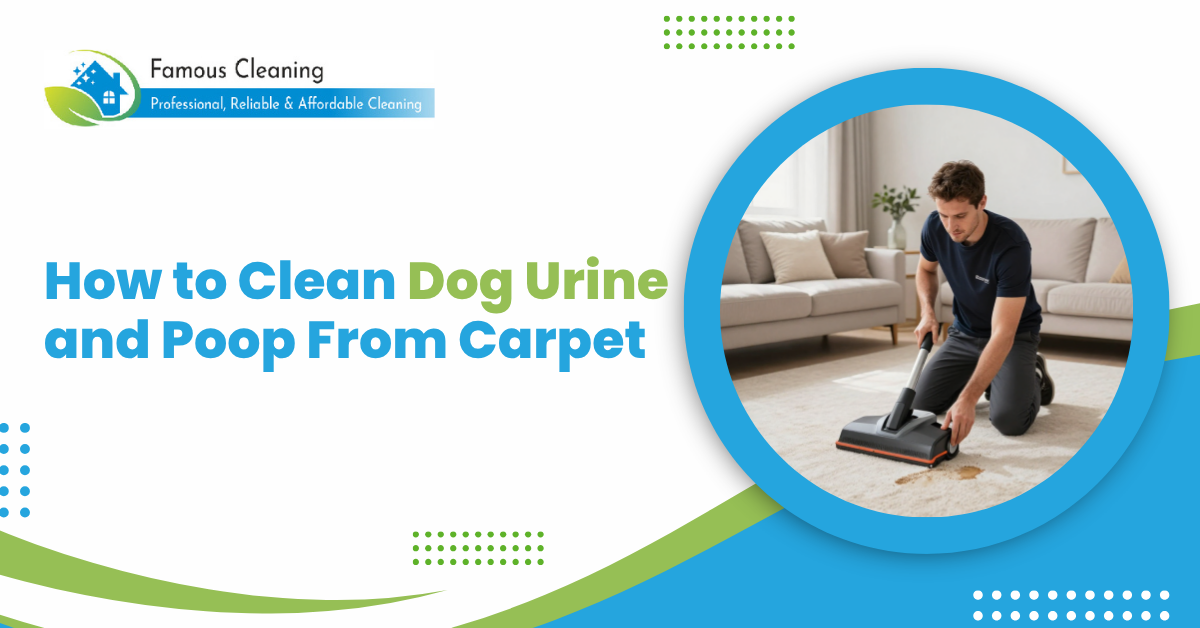 How to Clean Dog Urine and Poop From Carpet