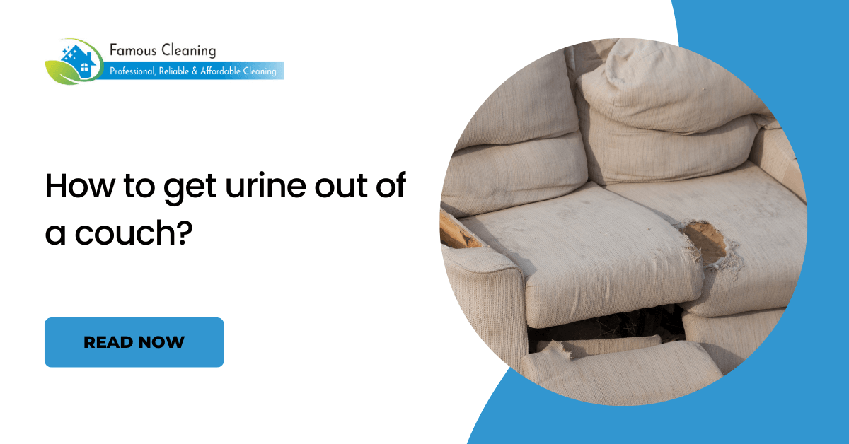 How to get urine out of a couch?
