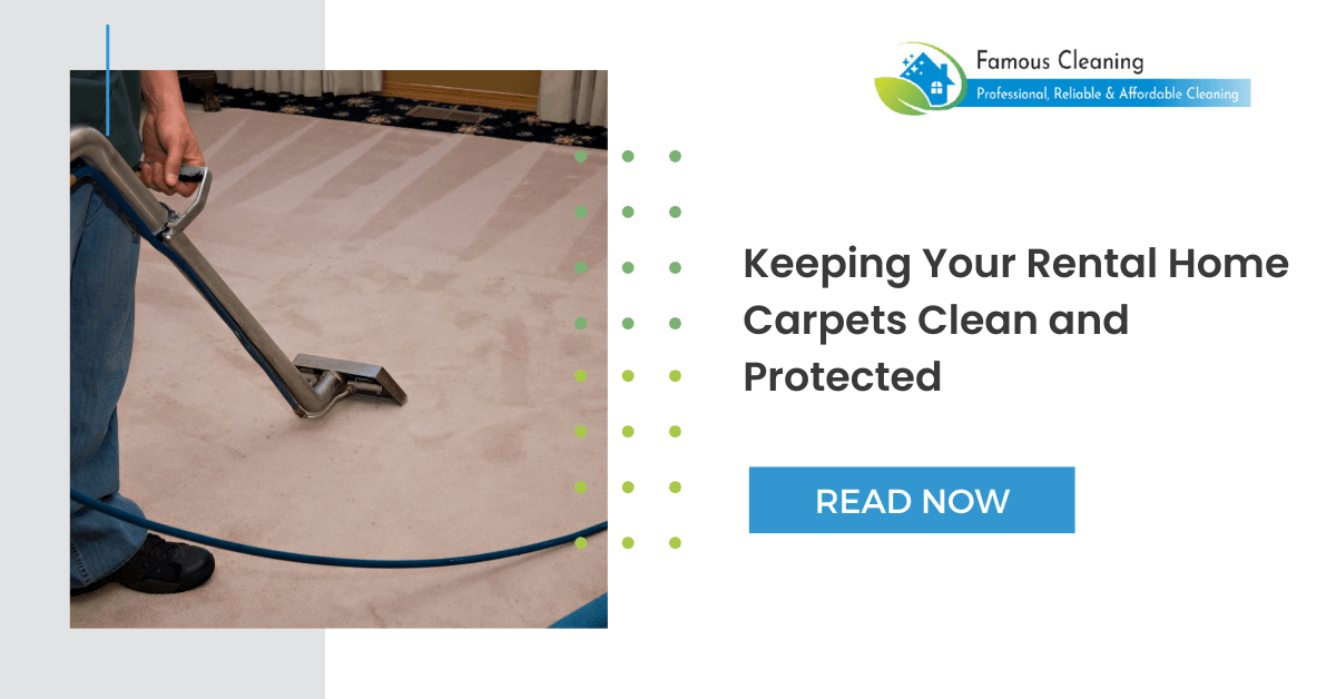 Carpet Cleaning Portsmouth