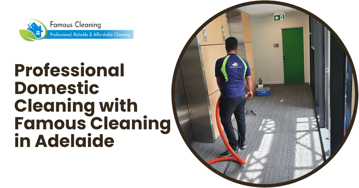 Professional Domestic Cleaning with Famous Cleaning in Adelaide
