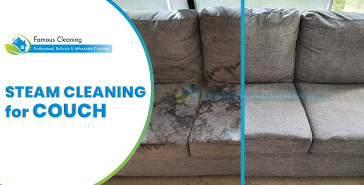 Steam Cleaning for couch