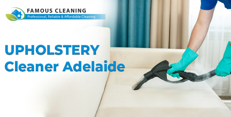 Upholstery Cleaner Adelaide