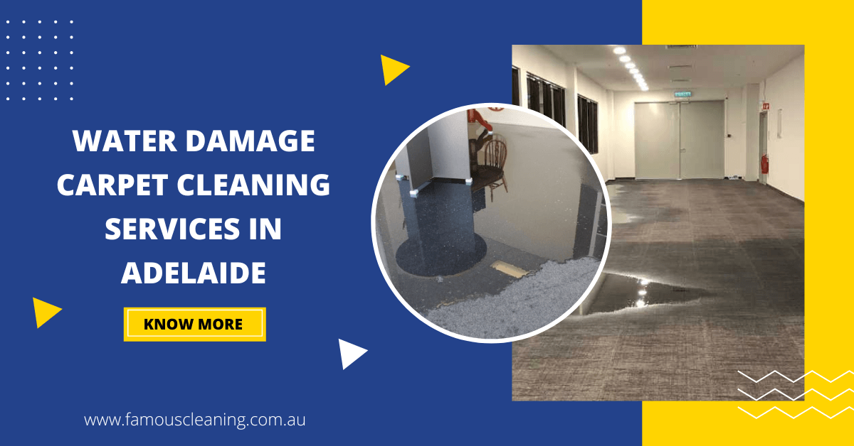 Water Damage Carpet Cleaning Services in Adelaide