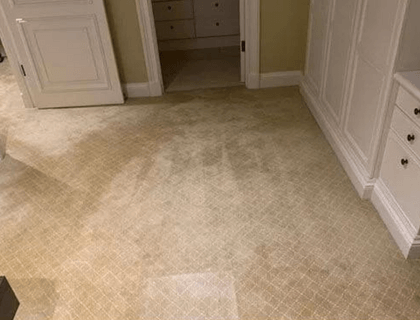 Carpet Cleaning in Adelaide