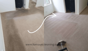 famous cleaning work famous cleaning work