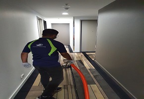 famous cleaning work