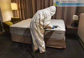 famous cleaning work