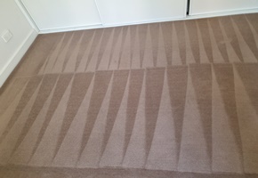 famous cleaning adelaide famous cleaning adelaide