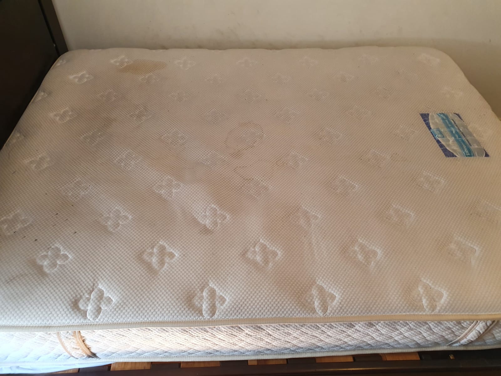 famous cleaning adelaide famous cleaning adelaide