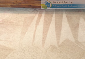 famous cleaning Befor after work famous cleaning Befor after work
