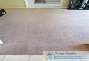 famous cleaning Befor after work famous cleaning Befor after work