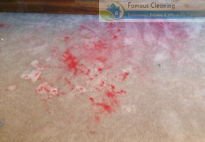 famous cleaning Befor after work famous cleaning Befor after work