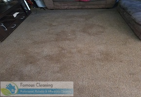 famous cleaning Befor after work famous cleaning Befor after work