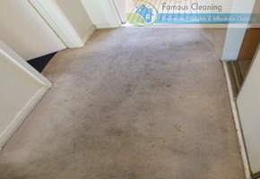 famous cleaning Befor after work famous cleaning Befor after work