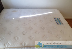 famous cleaning Befor after work famous cleaning Befor after work