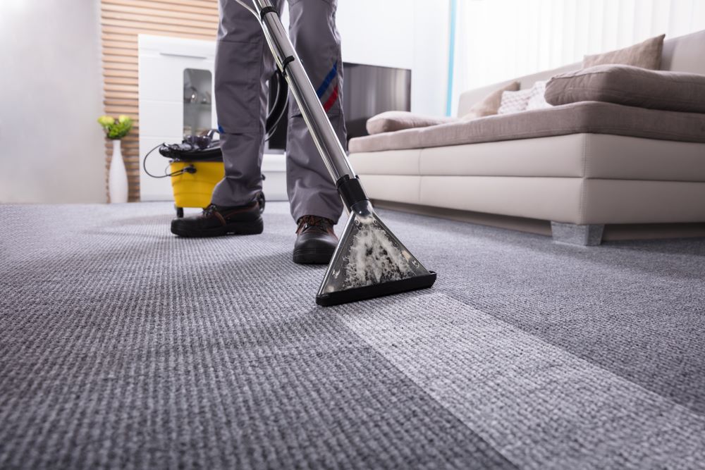 Carpet Cleaning in Seaford