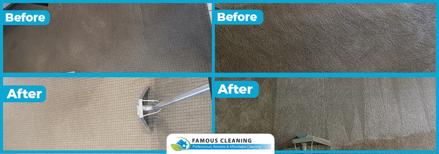 Carpet Cleaning in Torrens park 