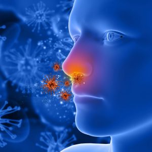 Anti Allergen Cleaning Services Adelaide