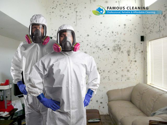 Mould Cleaning Adelaide
